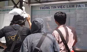 Tân binh phố Đá