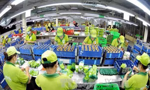 Tại sao số liệu xuất nhập khẩu của Việt Nam chênh Trung Quốc?
