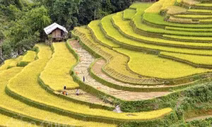 Miền Bắc nắng đẹp, Nam Bộ khô nóng