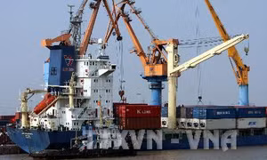 Cáp tàu đứt văng chết hai người tại Cảng Hải Phòng