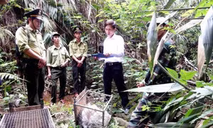 Quảng Bình