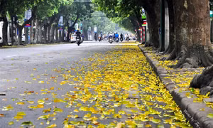 Thu sang