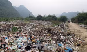 Điện Biên