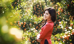 Vườn xuân