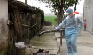 Tại Việt Nam chưa phát hiện chủng virus cúm mới 