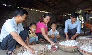 Chị Quê làm giàu