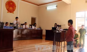 Phạt tù nghịch tử sát hại cha ruột 