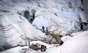 Thụy Sĩ đắp chăn cho băng 