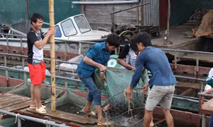 Khai thác lợi thế từ các hồ thủy điện