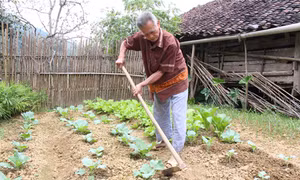 Cao Bằng