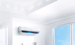 Thùy Lâm và bí quyết chăm sóc gia đình