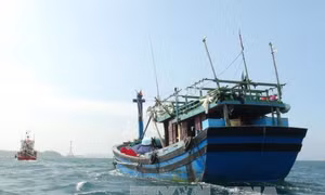Cứu 10 thuyền viên trên tàu chở hàng bị chìm 