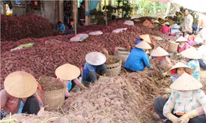 Vĩnh Long
