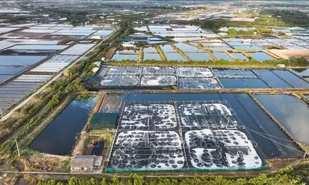 Cải cách thủ tục, giảm chi phí cho doanh nghiệp nông nghiệp