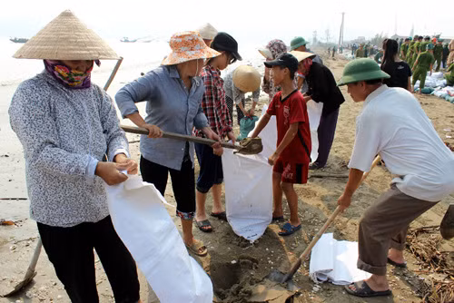 Chủ động đối phó với bão số 11 ảnh 2