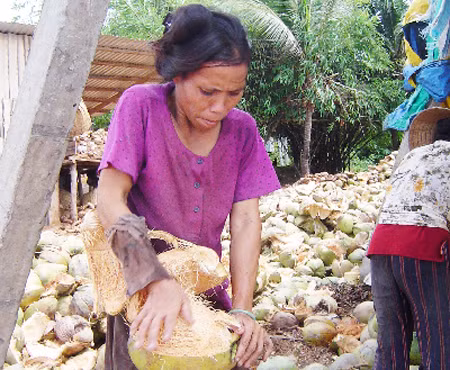 Nhọc nhằn những phụ nữ lột dừa bên sông Thom ảnh 1