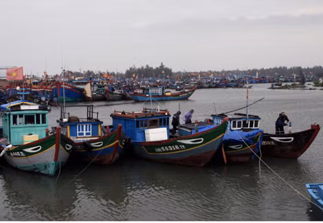 Thủ tướng chỉ đạo đối phó với bão số 11 ảnh 1