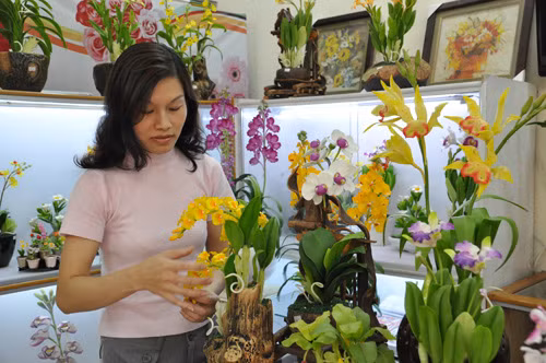 Tinh tế hoa đất Hà thành ảnh 1