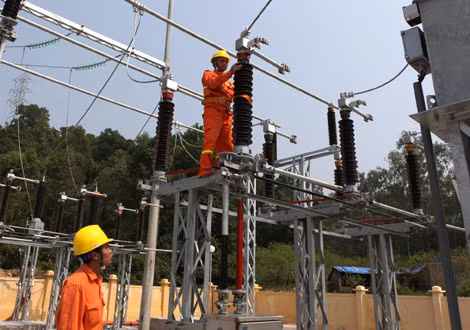 Làm rõ kết luận thanh tra Tập đoàn Điện lực Việt Nam ảnh 1