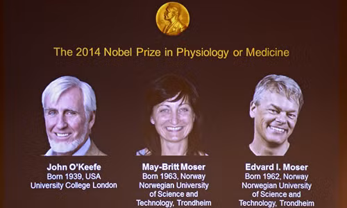 'Hệ thống định vị trong não' giành Nobel Y học ảnh 1