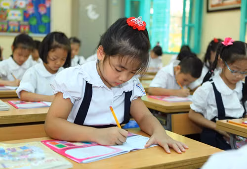 Đánh giá học sinh tiểu học không chỉ bằng điểm số ảnh 2