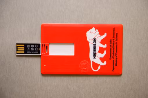 Chiếc USB và chiến dịch “Make in India”của Ấn Độ ảnh 2