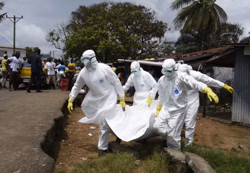 LHQ chi 50 triệu USD đối phó với Ebola ảnh 1