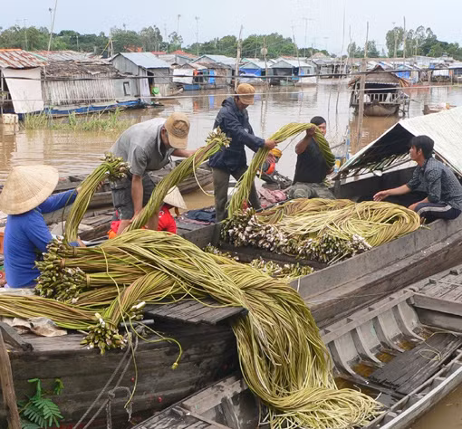Chợ đặc sản vùng biên mùa nước nổi ảnh 6