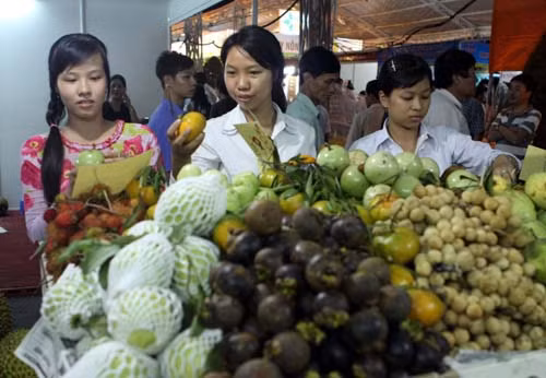 Thêm cơ hội để trái cây Việt “xuất ngoại” ảnh 1