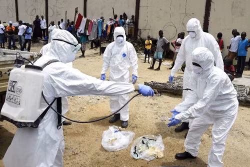 Nguy cơ virus Ebola "nhập cảnh" Pháp và Anh ảnh 1