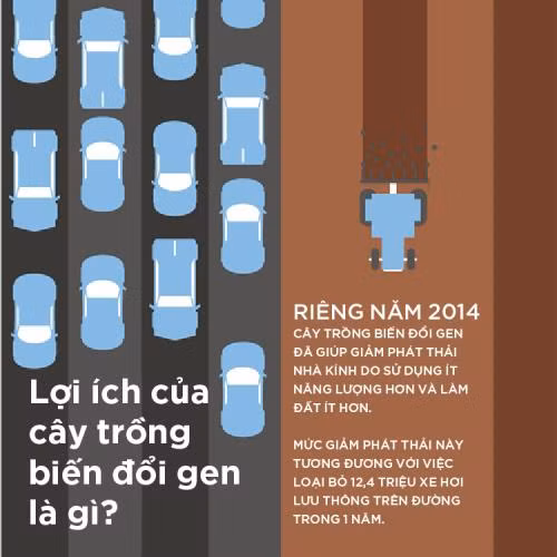 Tác động tích cực về kinh tế và môi trường ảnh 3