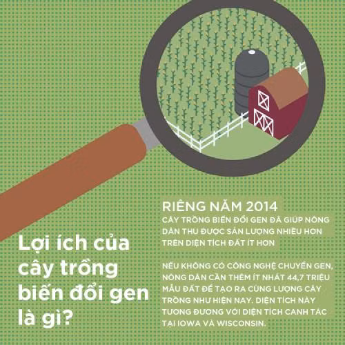 Tác động tích cực về kinh tế và môi trường ảnh 2