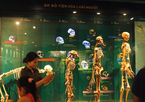 Khám phá thiên nhiên giữa lòng Hà Nội ảnh 10