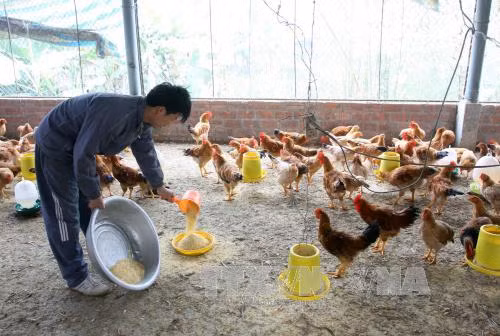 Truyền thông Đức ca ngợi sự phát triển kinh tế Việt Nam ảnh 1
