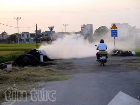 Hải Dương: Tái diễn nạn đốt rơm, rạ vào mùa thu hoạch ảnh 1