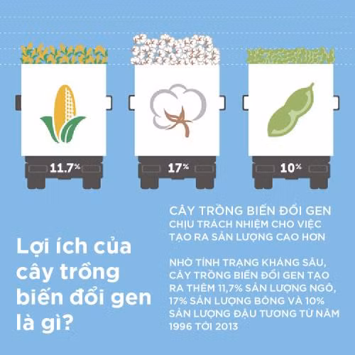 Tác động tích cực về kinh tế và môi trường ảnh 1