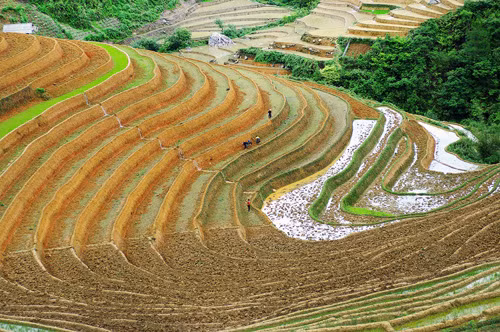 Mùa nước đổ trên những “nấc thang trời” ảnh 4