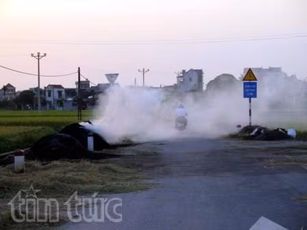 Hải Dương: Tái diễn nạn đốt rơm, rạ vào mùa thu hoạch ảnh 2