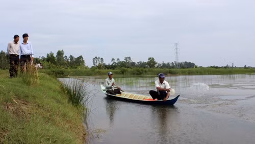 Cà Mau phát triển nguồn nhân lực chất lượng cao ảnh 1