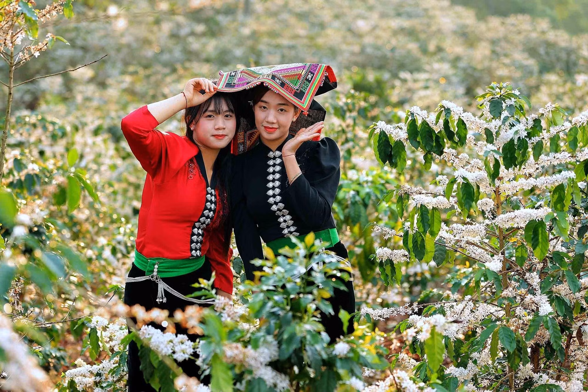 Hoa cà phê nở rộ tạo khung cảnh nên thơ, lãng mạn khắp triền đồi ở xã Chiềng Mai, tỉnh Sơn La thu hút các bạn trẻ đến tham quan, chụp ảnh, trải nghiệm.