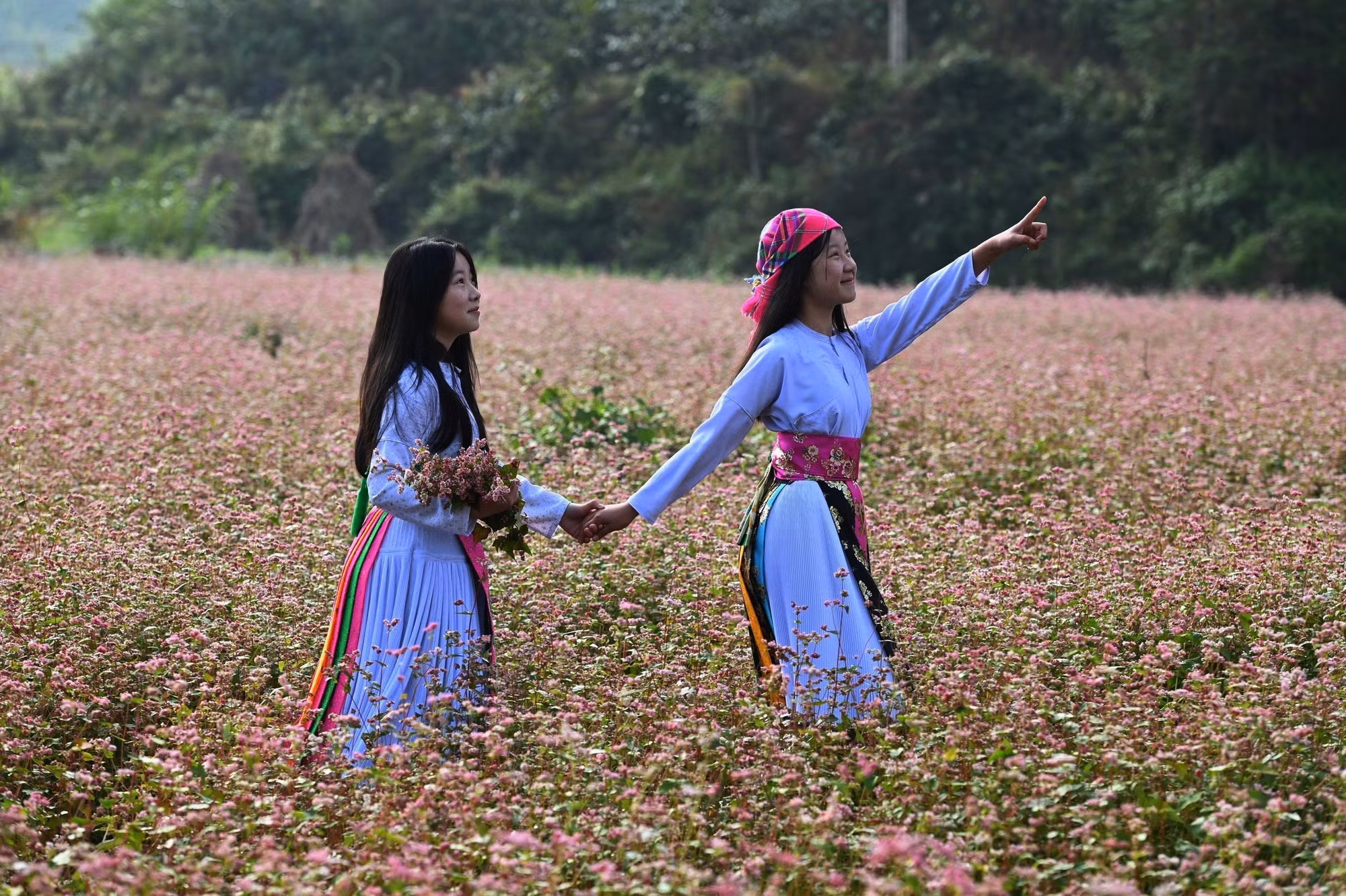 Nét hồn nhiên của hai thiếu nữ Mông khi dạo bước trên cánh đồng Tam giác mạch ở Đồng Văn.