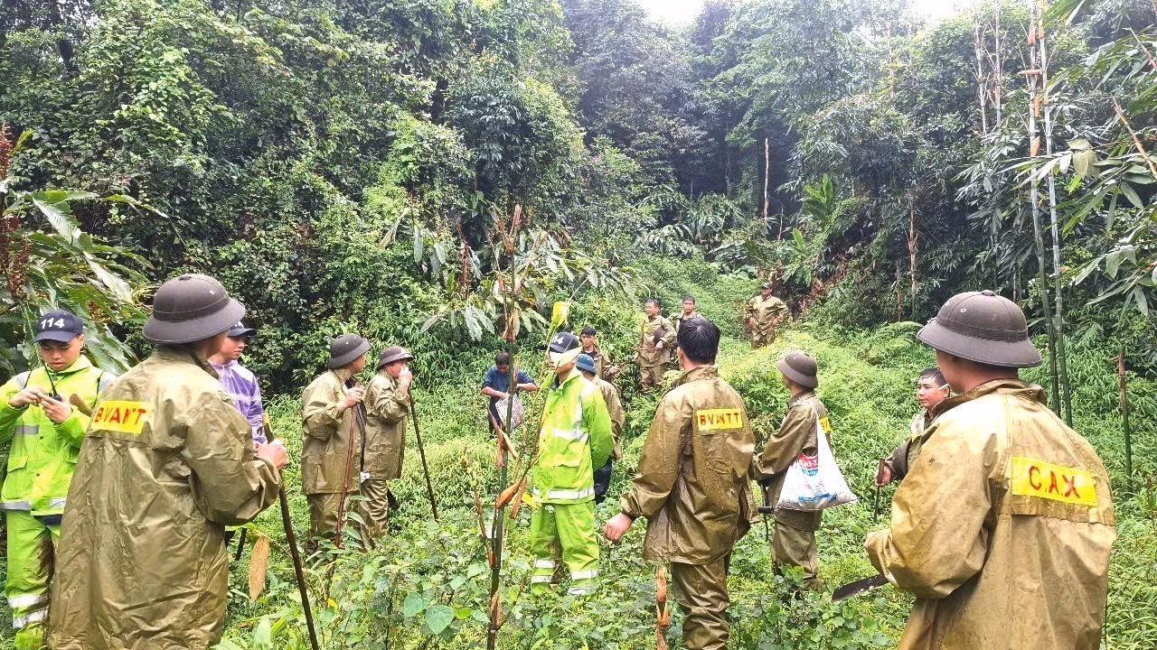 Các lực lượng chức năng triển khai nhiều mũi tìm kiếm trong điều kiện thời tiết mưa lớn, địa hình rừng núi phức tạp. Ảnh: Hồng Hạnh/TTXVN phát