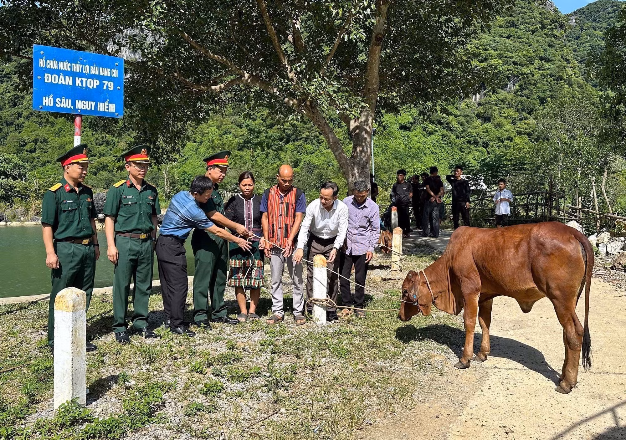 Đoàn Kinh tế - Quốc phòng 79 (Binh đoàn 15) trao tặng bò giống sinh sản cho người dân cụm Còi, bản Còi Đá, xã Kim Ngân. Ảnh: TTXVN phát