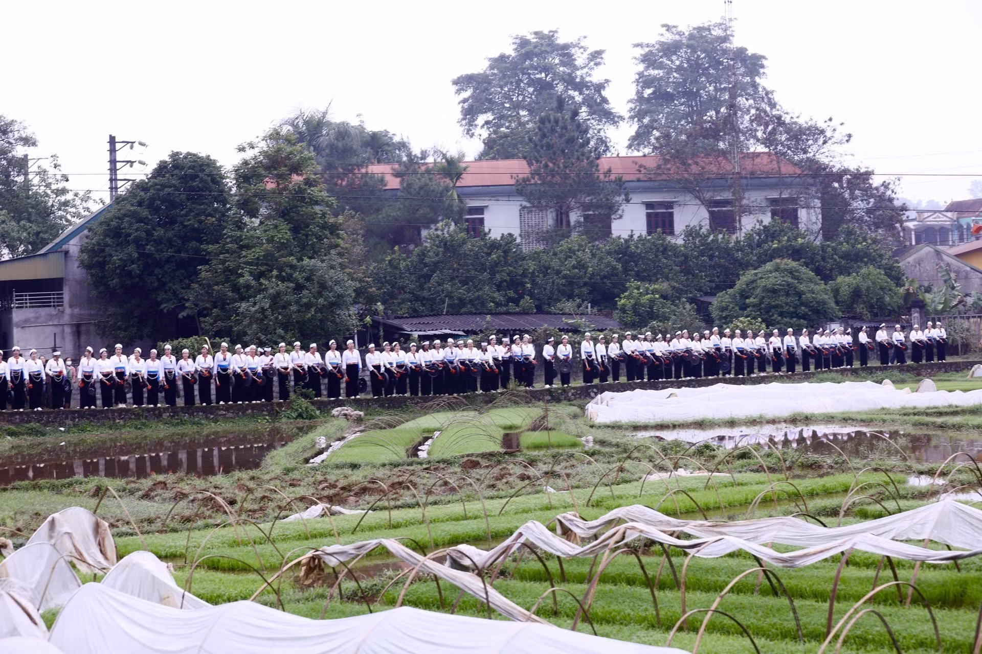 Đông đảo các nghệ nhân đánh chiêng mường trên cánh đồng trong nghi thức xuống đồng tại lễ hội. Ảnh: Trọng Đạt/TTXVN