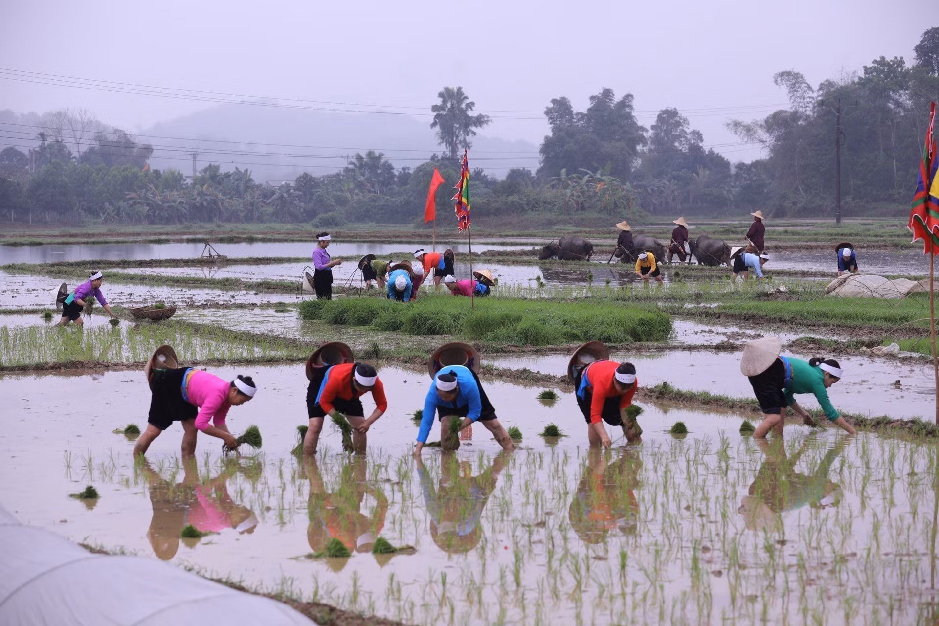 Nghi thức xuống đồng trồng lúa nước của người dân tộc Mường tại lễ hội. Ảnh:Trọng Đạt/TTXVN