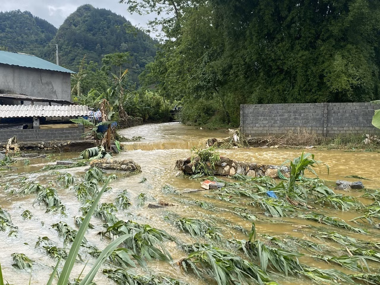 Mưa lớn gây ngập úng tràn vào nhiều nhà dân trên địa bàn thành phố Lai Châu. Ảnh: TTXVN phát