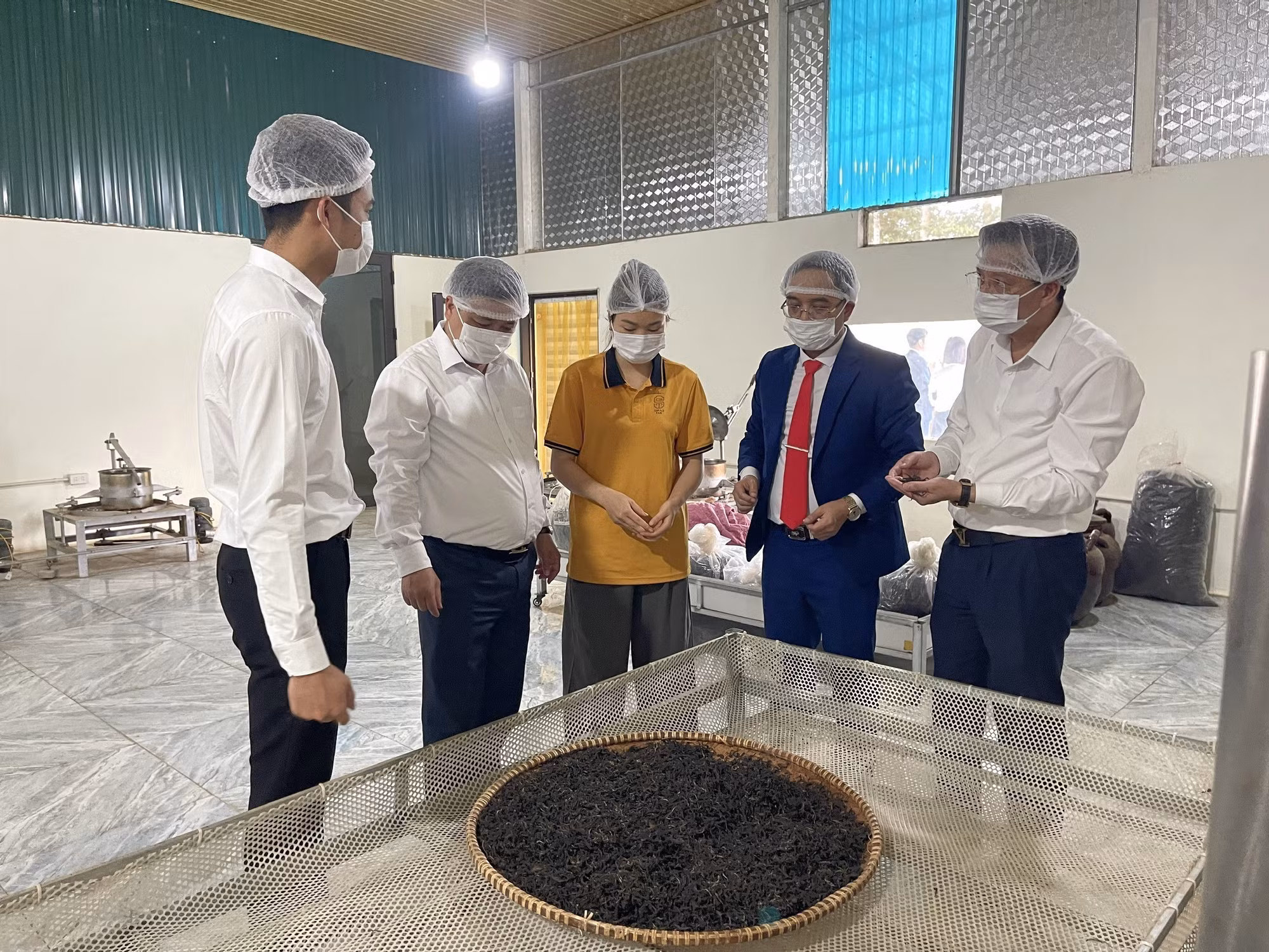 Ban tổ chức tham quan, tìm hiểu các sản phẩm chè Shan Tuyết Bằng Phúc. Ảnh: TTXVN phát