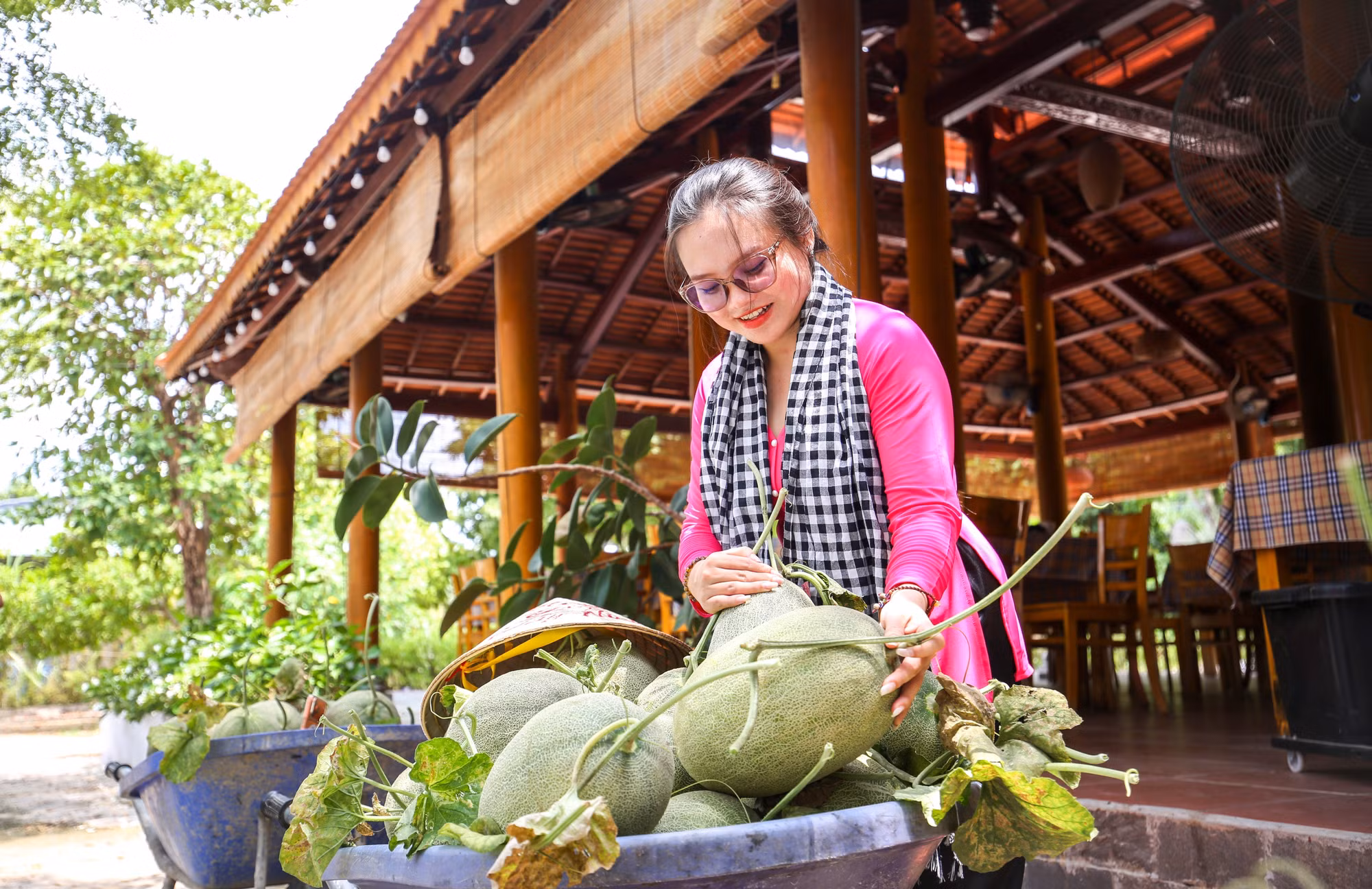 Mô hình nông nghiệp kết hợp du lịch trải nghiệm tại BaDen Farm góp phần quảng bá sản phẩm OCOP và phát triển kinh tế nông thôn Tây Ninh.
