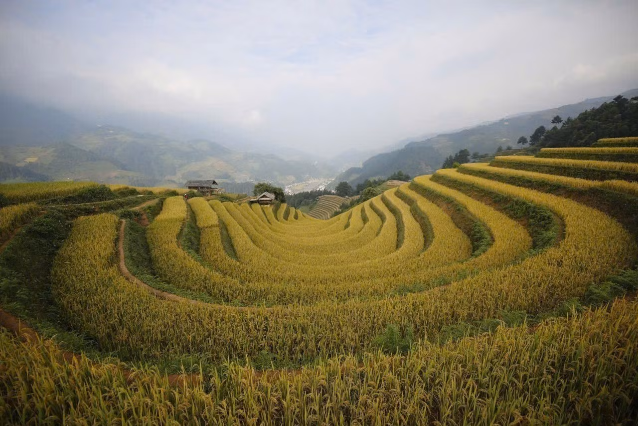 dtmn-lao-cai-10062025-07.jpg