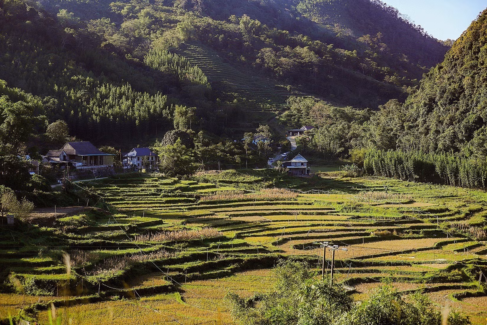 phu-tho-du-lich-09072026-02.jpg